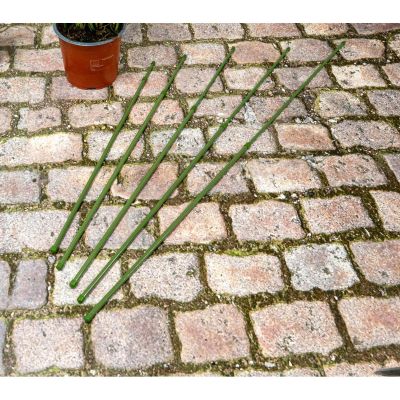 4. PODPORA TYCZKA DO ROŚLIN 6SZT 50-80CM KINZO