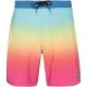 Spodenki męskie PROTEST ORION boardshort