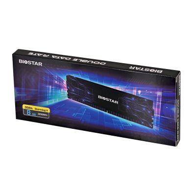 6. Pamięć DDR4 Biostar 8GB 3200MHz Heatsink Storming Vseries