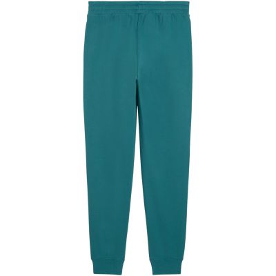 3. Spodnie męskie Puma Ess 2 Color No.1 Logo zielone 684714 41