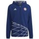 2. Kurtka adidas FC Bayern GR WB M HT8828