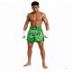 2. Spodenki tajskie męskie PASTEL GREEN V2 COMBATWEAR | DBX Bushido