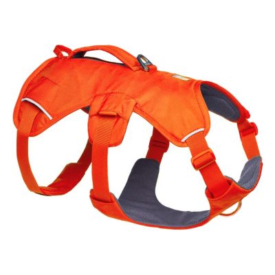 5. Szelki dla psa Ruffwear Web Master Harness - blaze orange, rozmiar: m