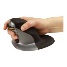 Fellowes Penguin myszka Biuro Oburęczny RF Wireless Laser 1200 DPI