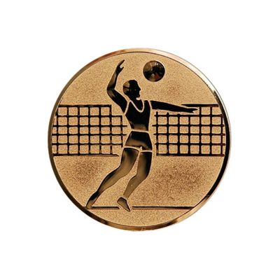 2. Wklejka aluminiowa brąz - siatkówka mężczyzn