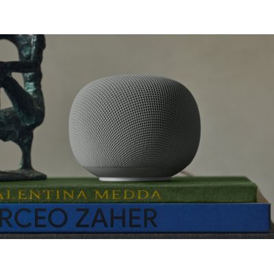 2. Google Home Grey