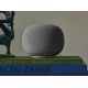 2. Google Home Grey