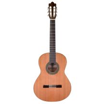 Prodipe Guitars Recital 300 4/4 - gitara klasyczna