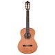 Prodipe Guitars Recital 300 4/4 - gitara klasyczna