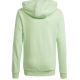 2. Bluza adidas Big Logo Hoodie Jr IS2591