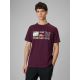 T-shirt regular z nadrukiem męski 4F 4FRSS26TTSHM3810-50S
