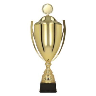 2. Puchar z przykrywką BASTER