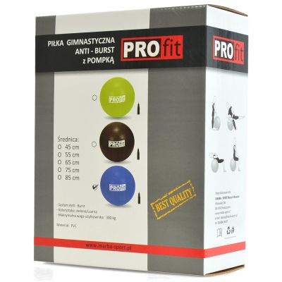 2. Piłka gimnastyczna Profit 65cm z pompką DK 2102