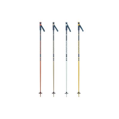2. Kije narciarskie ROSSIGNOL STOVE BOX 20 PAIRS multicolor