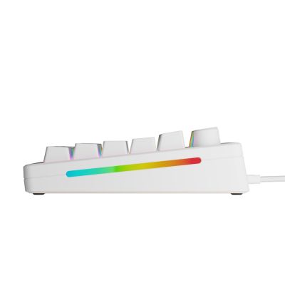 3. Glorious Gaming GMMK 3 HE 75% Prebuilt klawiatura USB QWERTY US English Biały