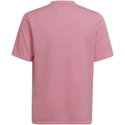 Koszulka adidas Entrada 22
