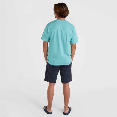 6. Spodenki O'Neill Essentials Chino Shorts M 92800613369