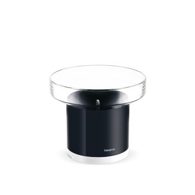 8. Inteligentny Deszczomierz Netatmo NRG