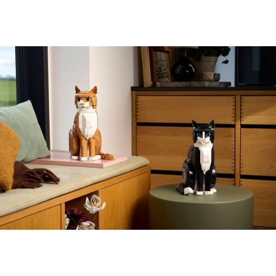 12. LEGO Ideas 21376 - Rudy kot