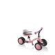 4. Rowerek wielofunkcyjny Globber Learning Bike 3w1 Deluxe 639-210
