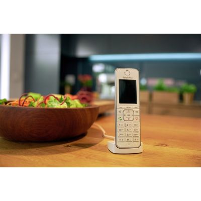 FRITZ!Fon C6 Telefon w systemie DECT Nazwa i identyfikacja dzwoniącego Biały