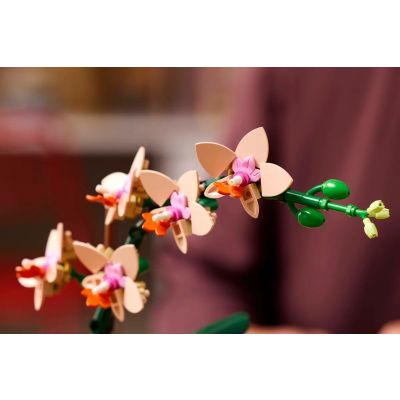 7. LEGO Botanical Collection 10343 - Mała orchidea