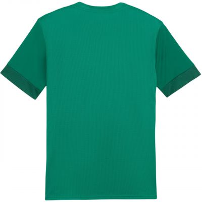 2. Koszulka Puma teamGoal Matchday Jersey M 705747 05