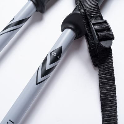 5. Kije ALPINE SKI II