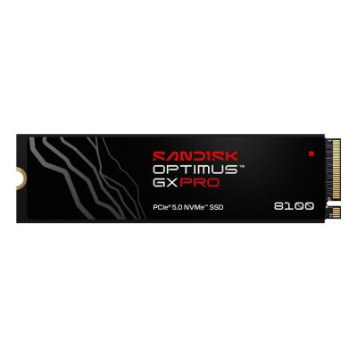 3. SSD Sandisk Optimus GX Pro 8100 1TB SDSP82100TAN