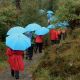 6. Parasol Euroschirm Swing Liteflex - ice blue