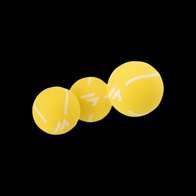 Piłeczka PETBALL SET