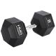 15. Hantla HMS HEX PRO 55 KG
