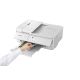 13. Drukarka atramentowa Canon Pixma Ts9551Ca A3 4800