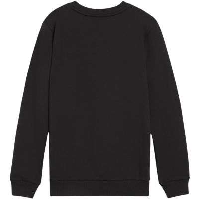 6. Bluza Puma Team Goal Casuals Crew Neck Sweat Jr 658593 03