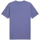 7. Koszulka Puma Ess No.1 Logo Heathear Tee M 682551 46