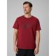 T-shirt regular z nadrukiem męski 4F 4FRSS26TTSHM3989-10S