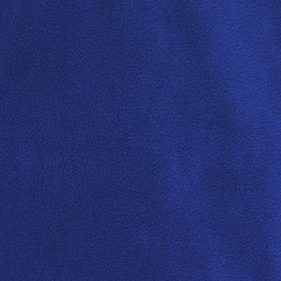 2. Bluza polarowa dziecięca Lego Wear dla chłopca niebieska (22972-570)