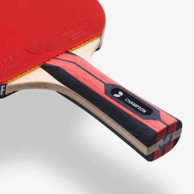 4. Rakietka Butterfly Team Champion