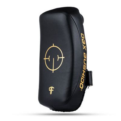 9. Tarcze tajskie PAO Gold para | ProFighter | DBX Bushido
