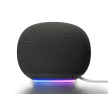 Google Home Grey