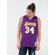 8. Koszulka Mitchell & Ness Los Angeles Lakers NBA Swingman Jersey Lakers 99-00 Shaquille O`Neal SMJYGS18447-LALPURP99SON