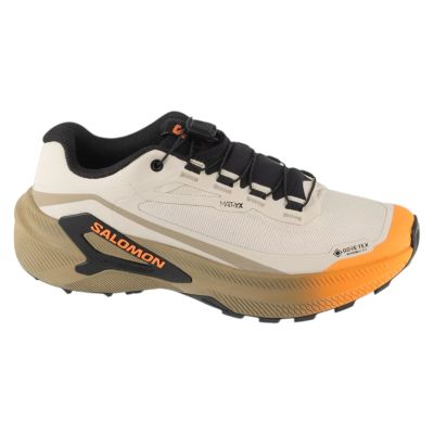Salomon Genesis 2 GTX W L45388200 Brązowe 37 1/3