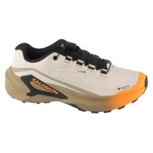 Salomon Genesis 2 GTX W L45388200 Brązowe 37 1/3