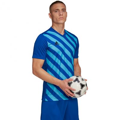 6. Koszulka adidas Entrada 22 Graphic Jersey M HF0116