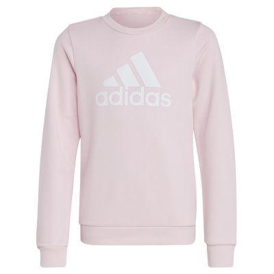 Bluza adidas Big Logo Swt Jr IC6119