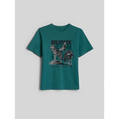 5. T-shirt regular z nadrukiem chłopięcy 4F 4FJKAW26TTSHM4455-46S