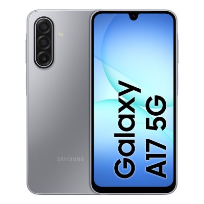 17. Samsung Galaxy A17 (A176) 5G DS 8/256GB Grey