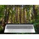 11. HP OmniBook 5 16-bc1219nw Ryzen 5 8540U 16"2K 300nits AG 16GB LPDDR5-6400 SSD512 Radeon 740M Cam 1080p 59Wh Win11 Glacial Silver 2Y