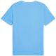 2. Koszulka Puma Ess No.1 Logo Tee (s) M 682533 57