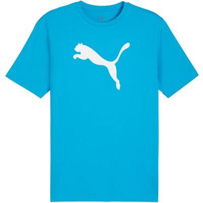 3. Koszulka Puma Team Rise Logo Jersey Cotton M 658705 02